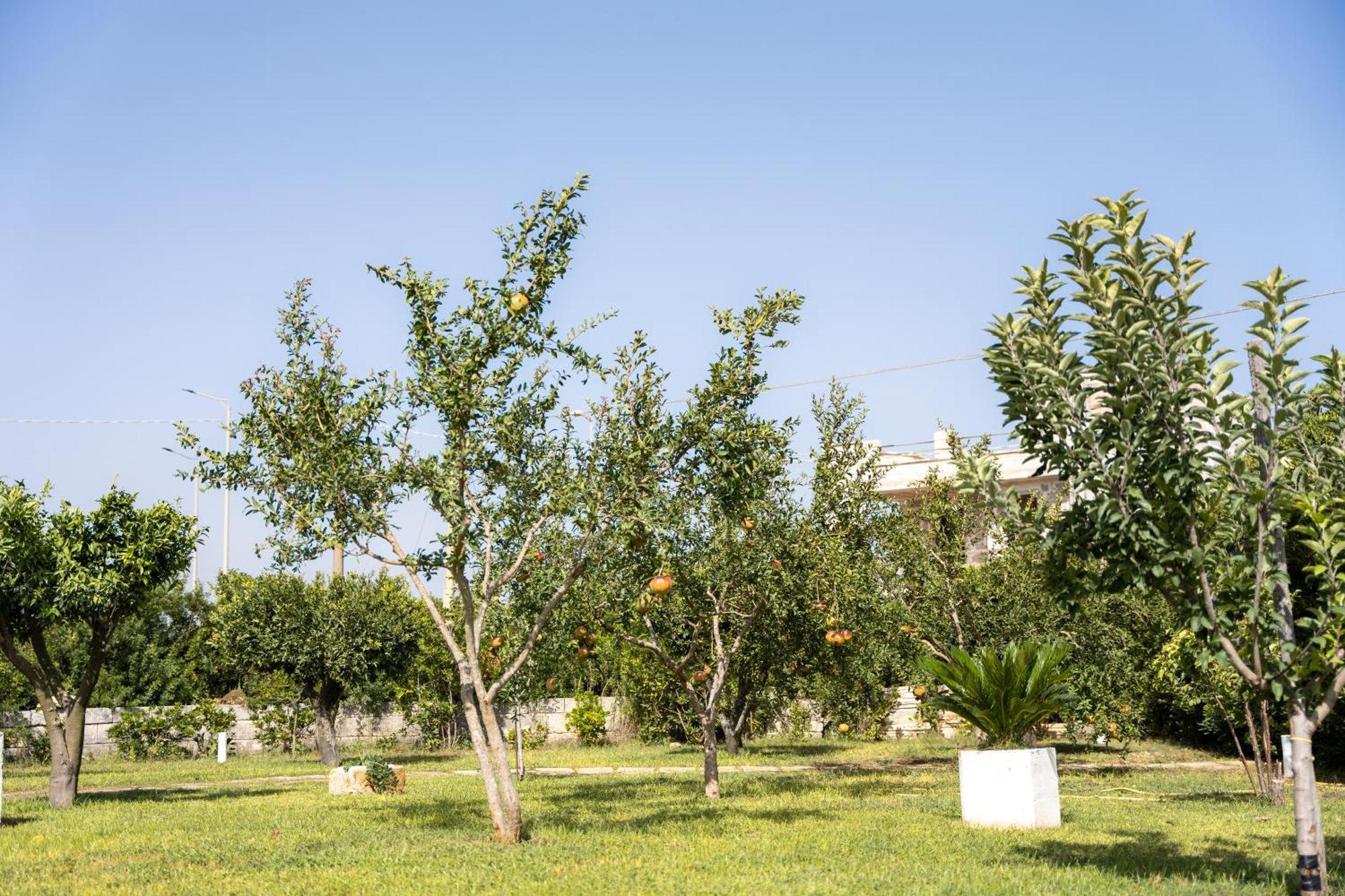 Murieri Rooms Otranto Zewnętrze zdjęcie